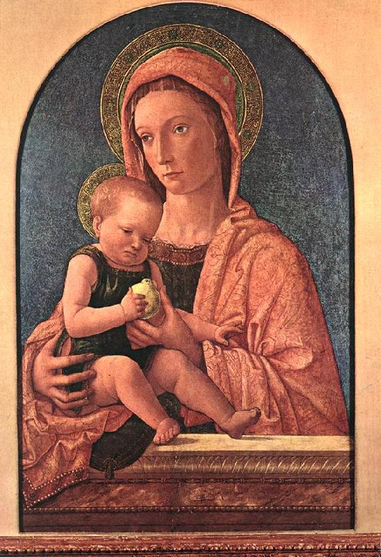 BELLINI, Giovanni Madonna and Child du7 oil painting image